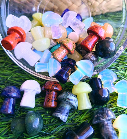 Mushrooms Assorted Gemstones