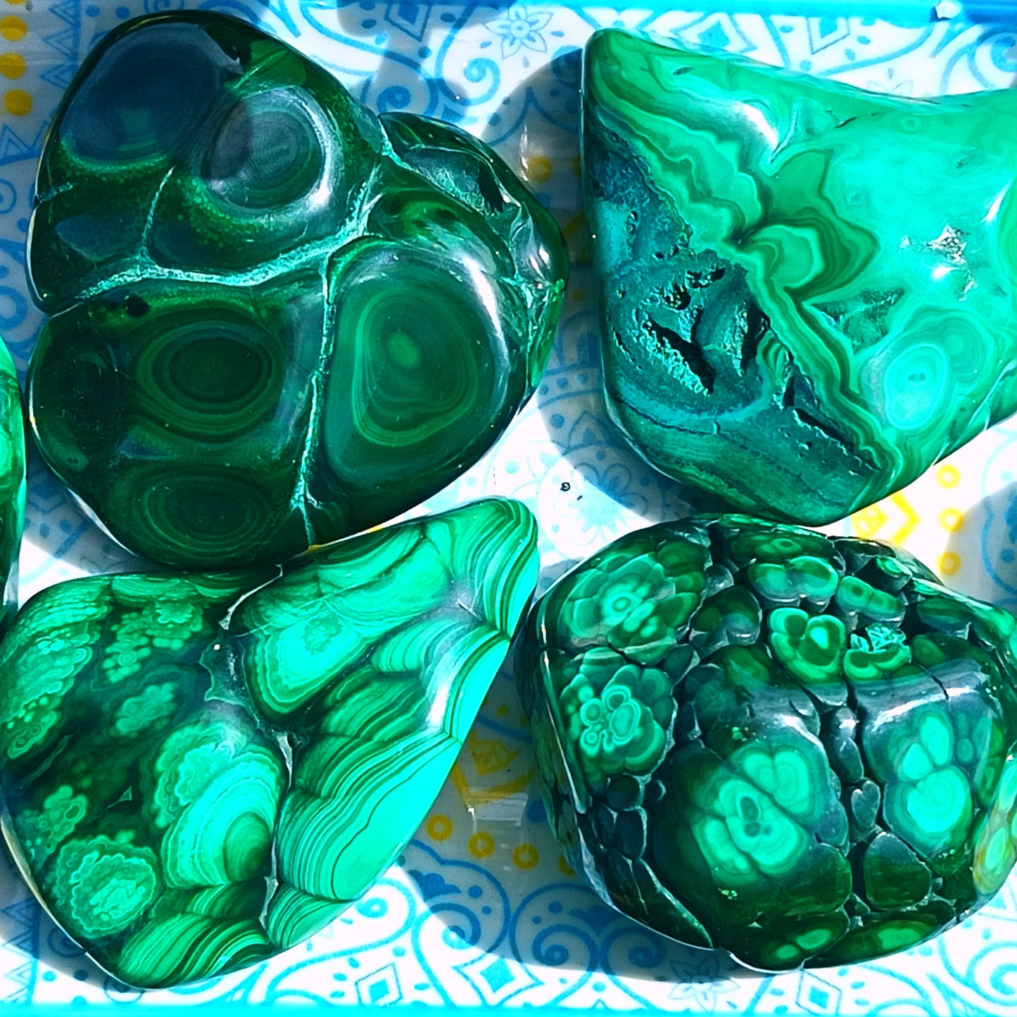 Flower Banded Malachite