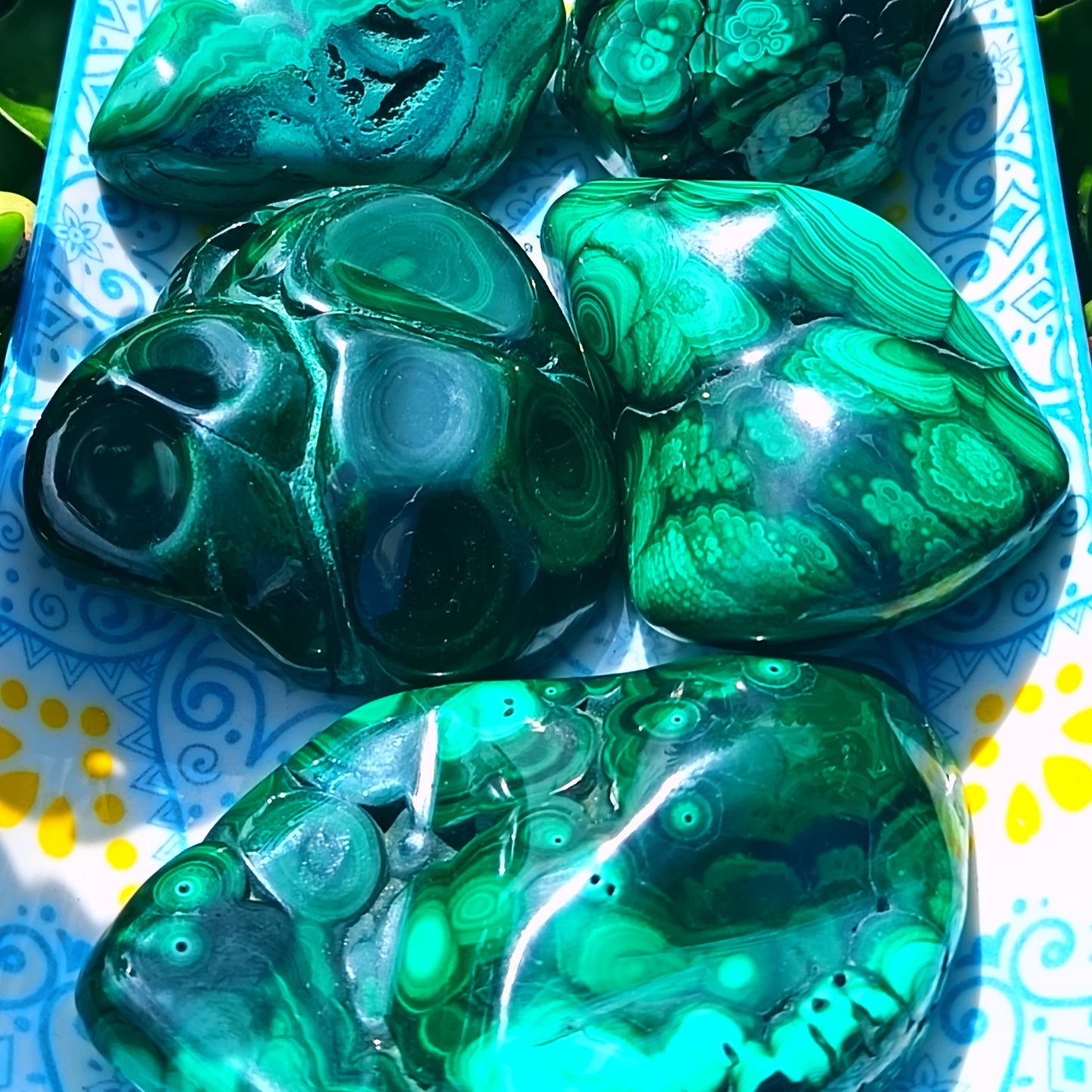 Flower Banded Malachite