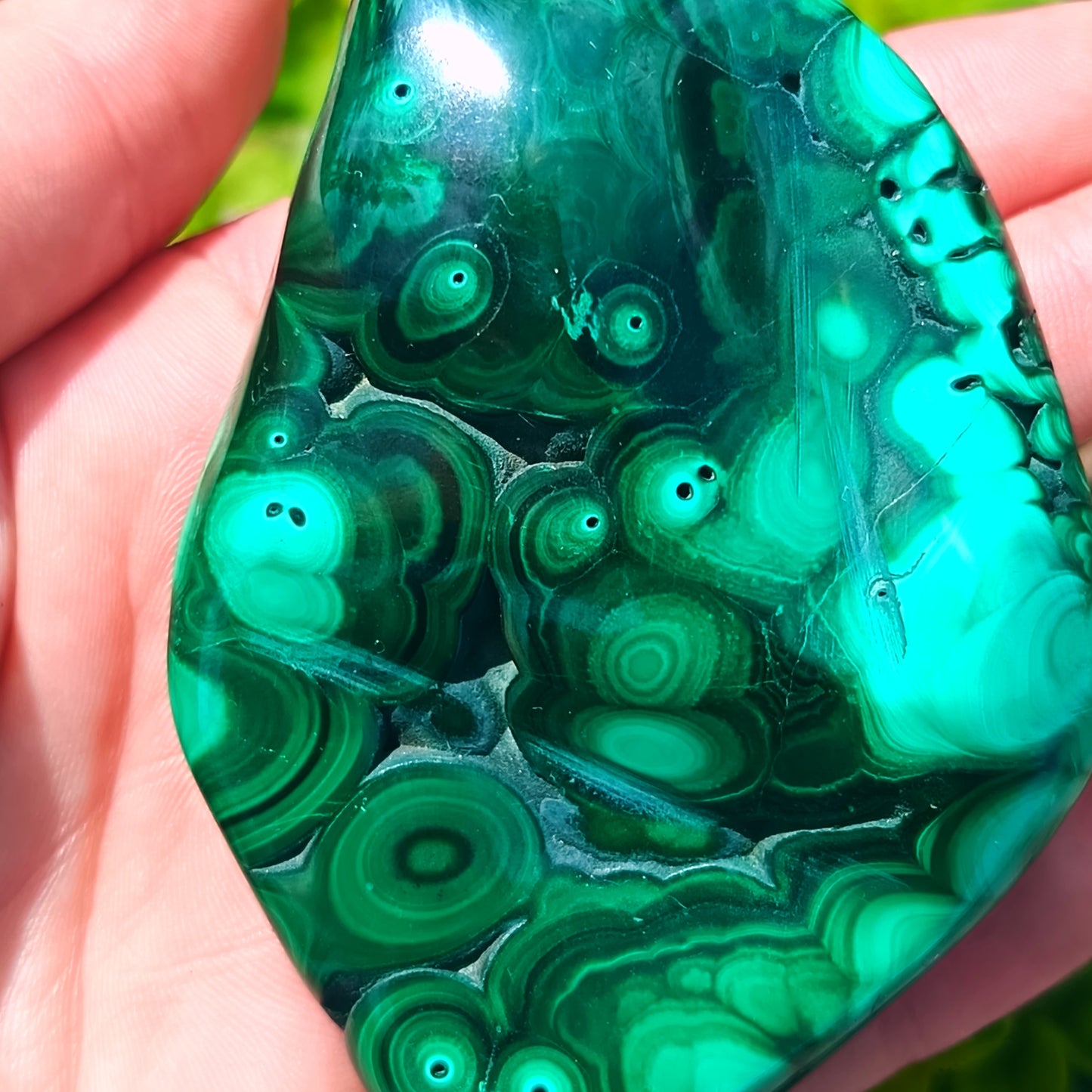 Flower Banded Malachite
