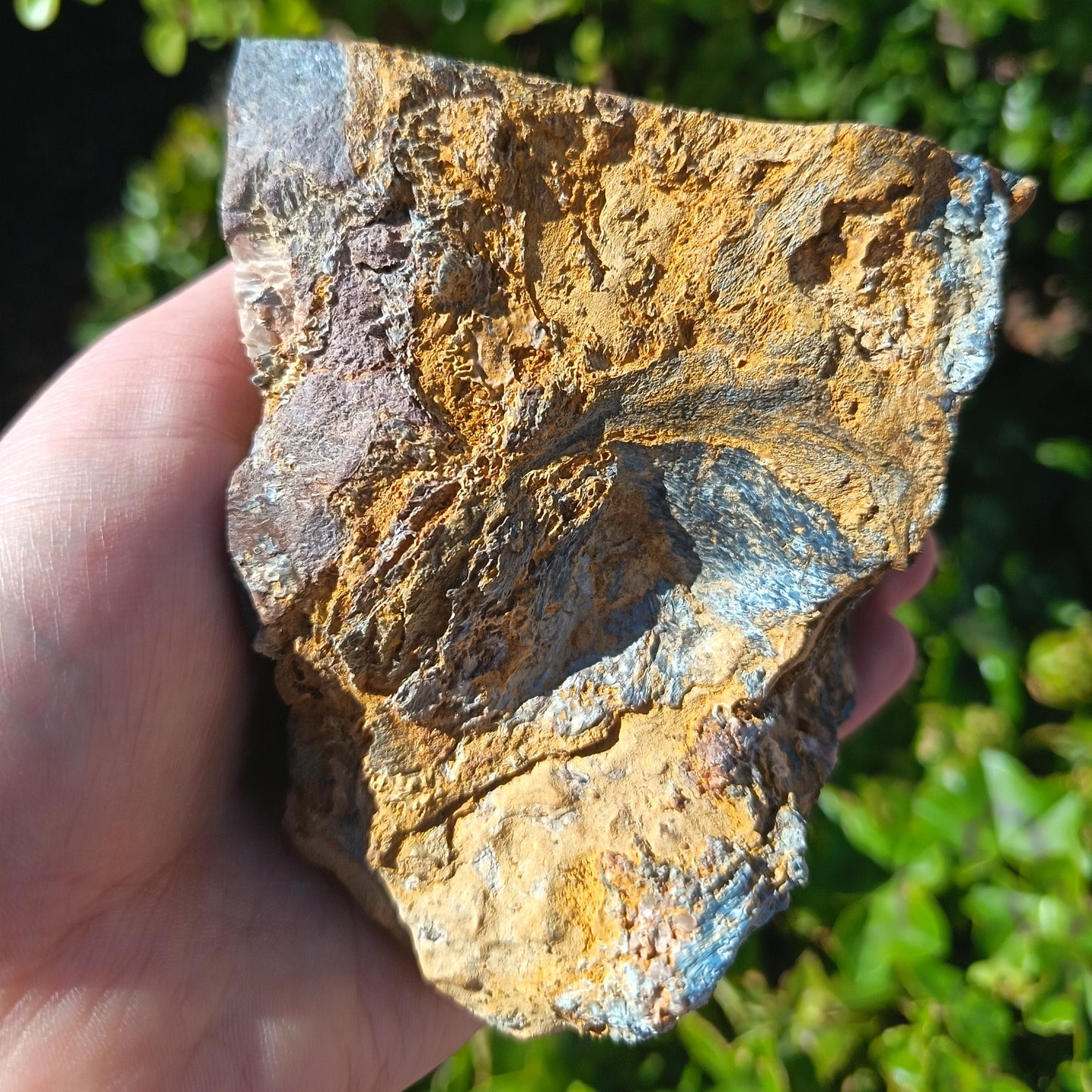 Pietersite Big Polished Piece