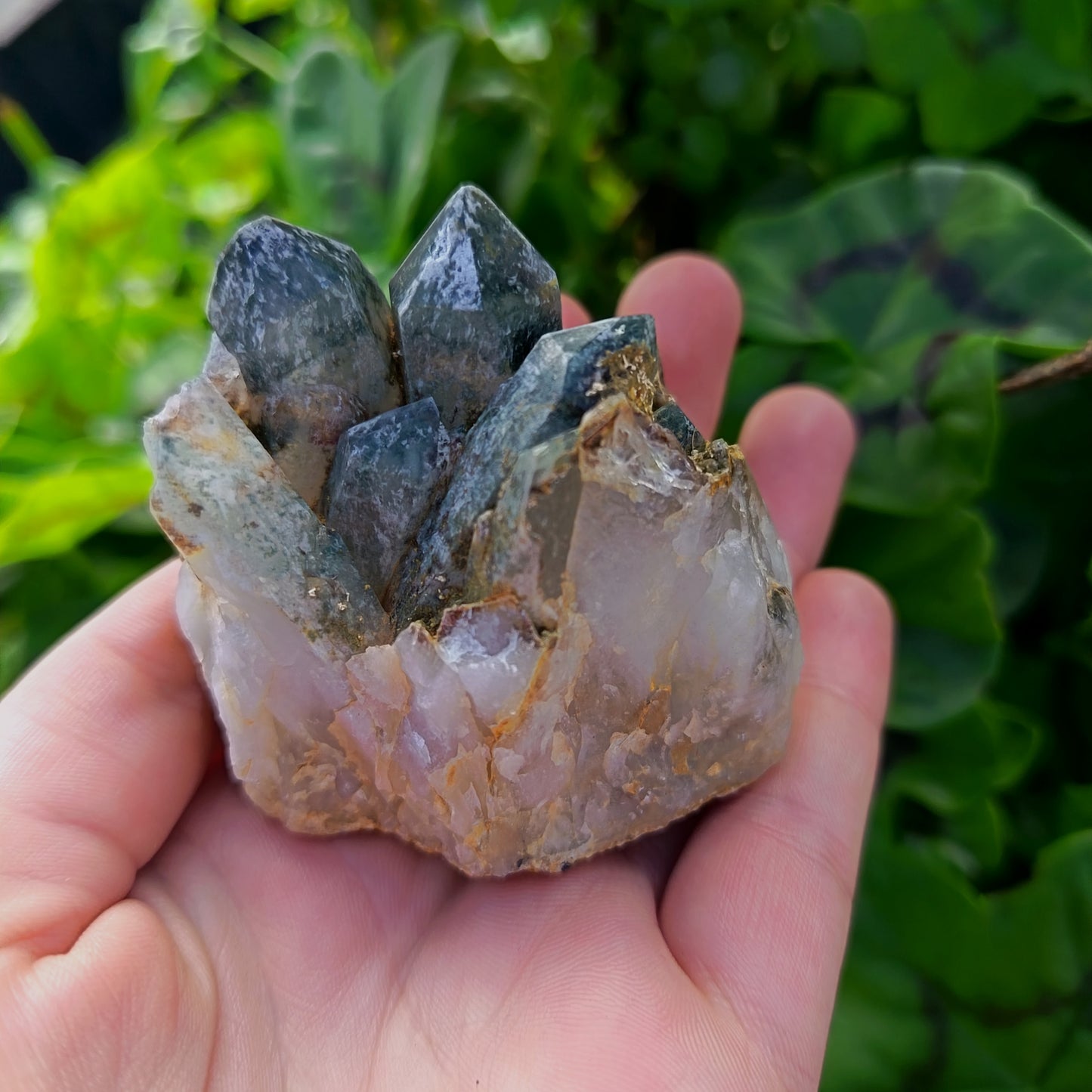 Chlorite Quartz Meduim