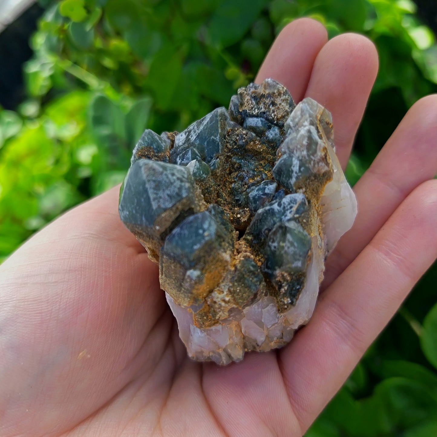 Chlorite Quartz Meduim