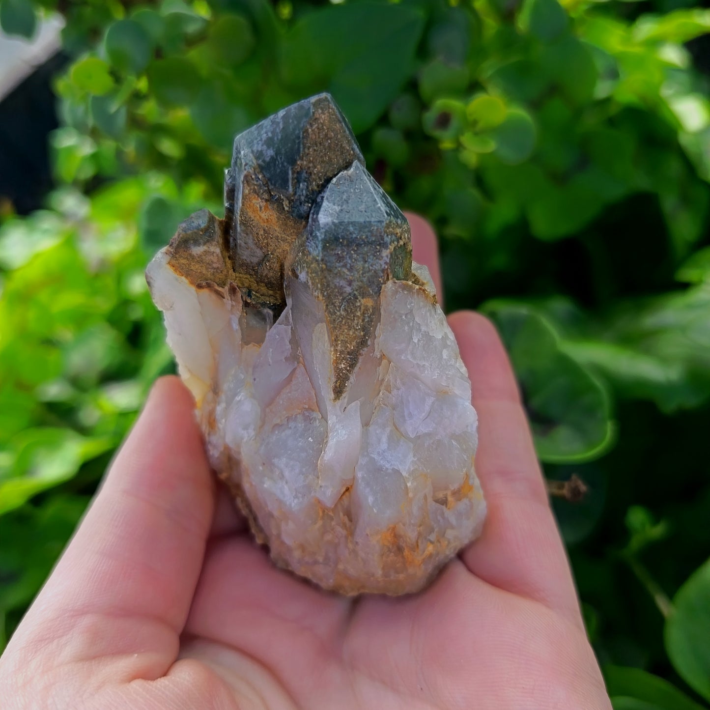 Chlorite Quartz Meduim