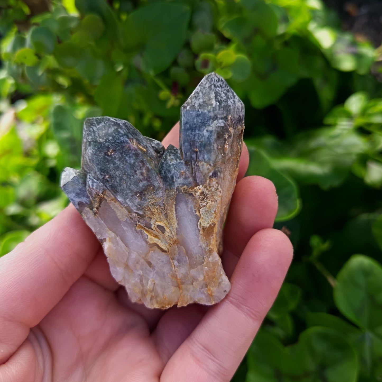 Chlorite Quartz Meduim