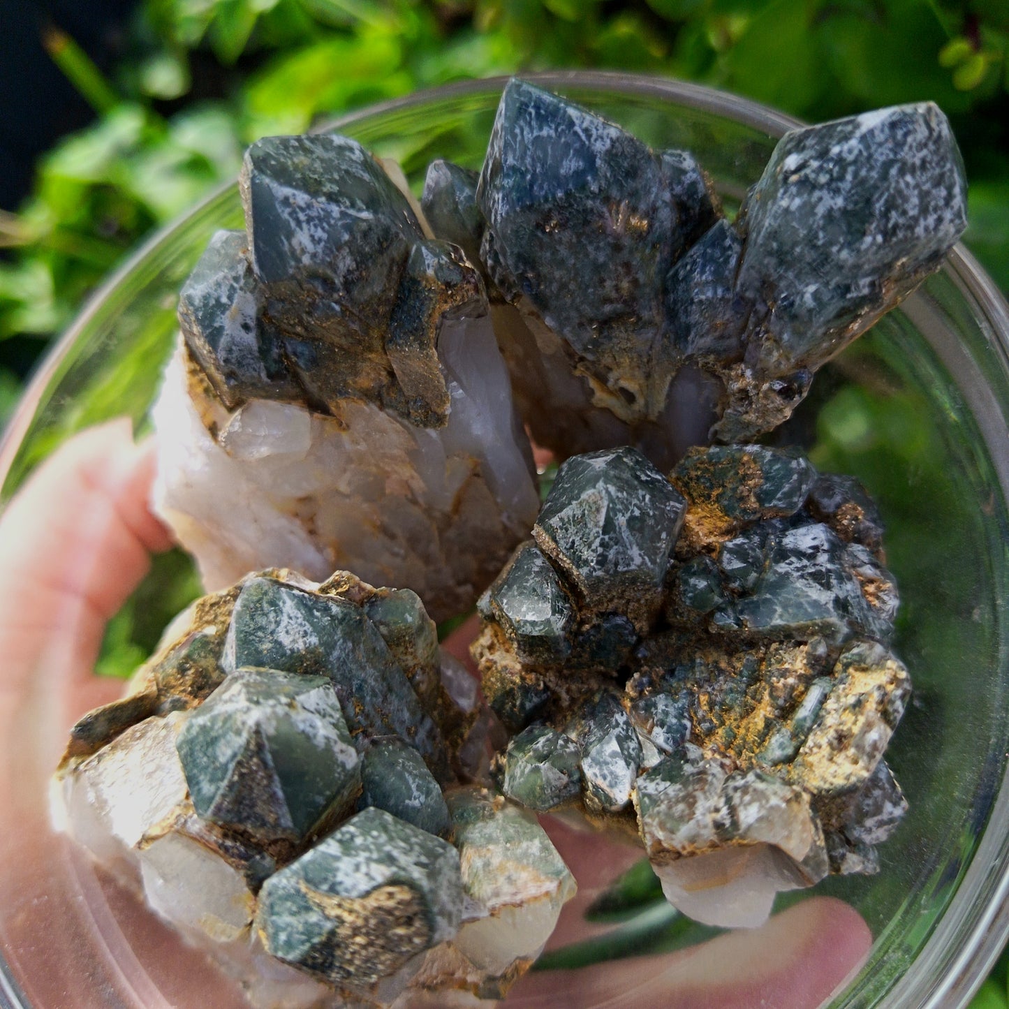 Chlorite Quartz Meduim