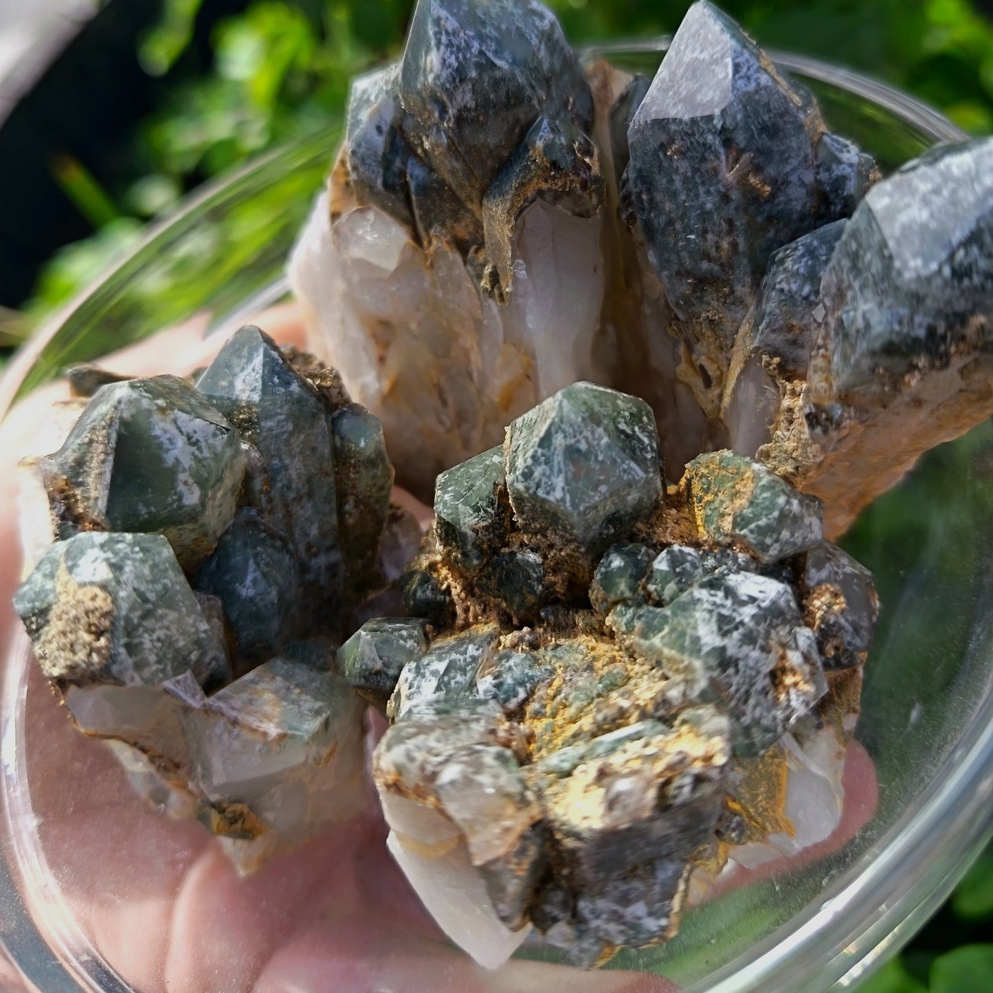 Chlorite Quartz Meduim