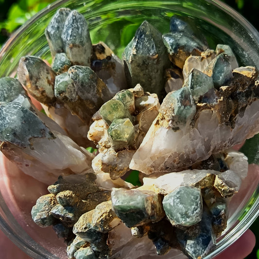 Chlorite Quartz Small