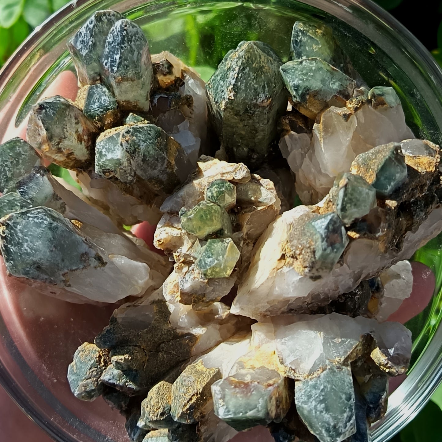 Chlorite Quartz Small
