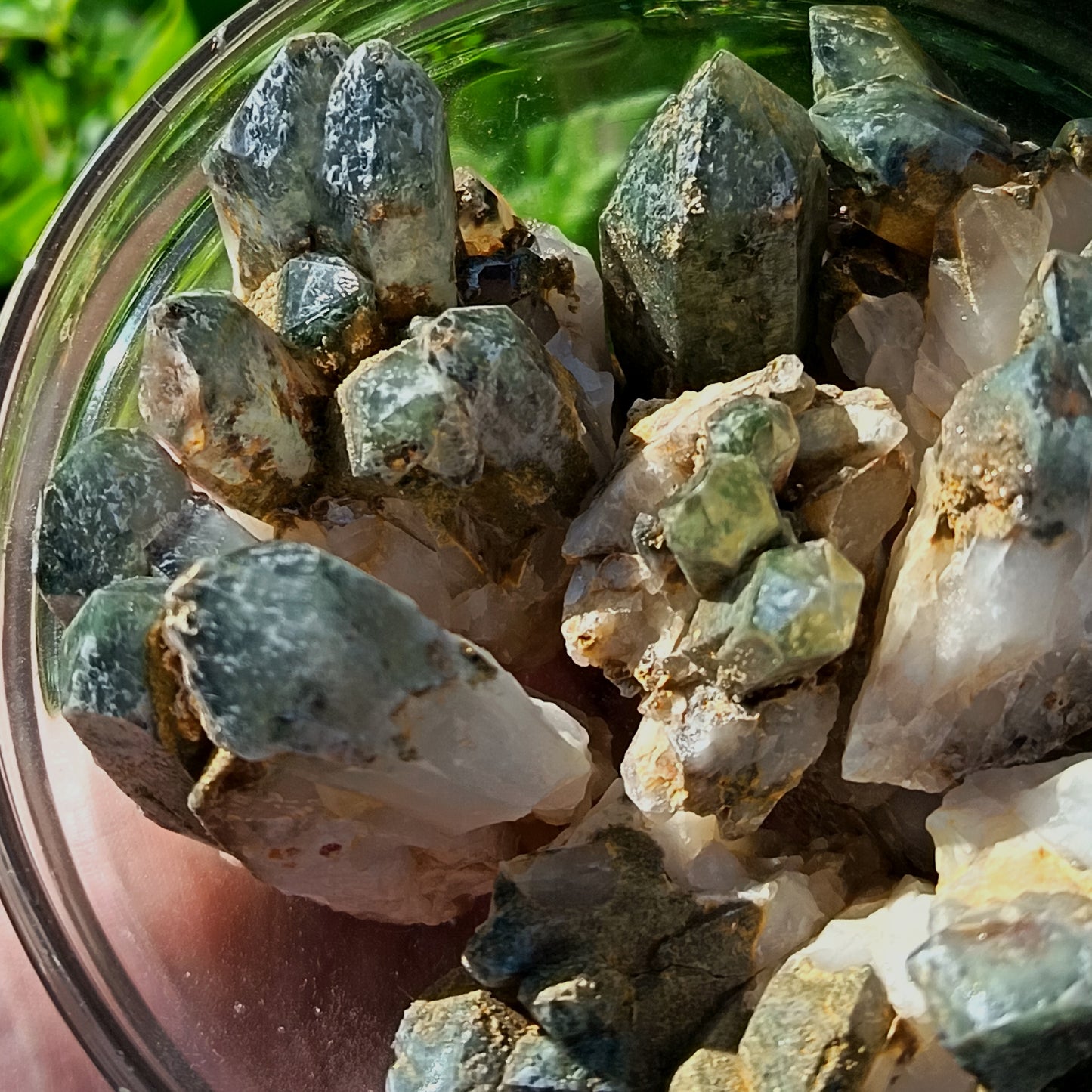 Chlorite Quartz Small