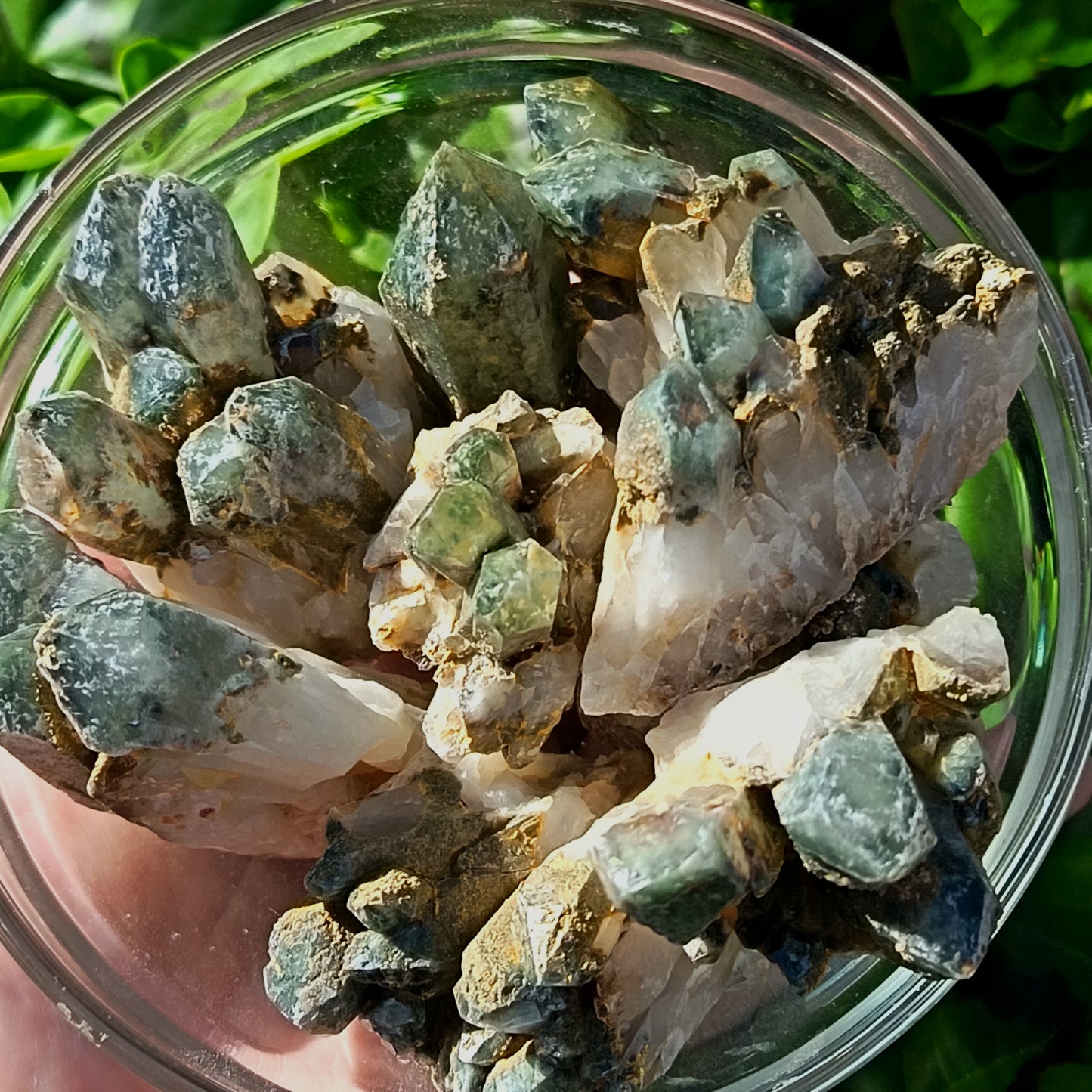 Chlorite Quartz Small