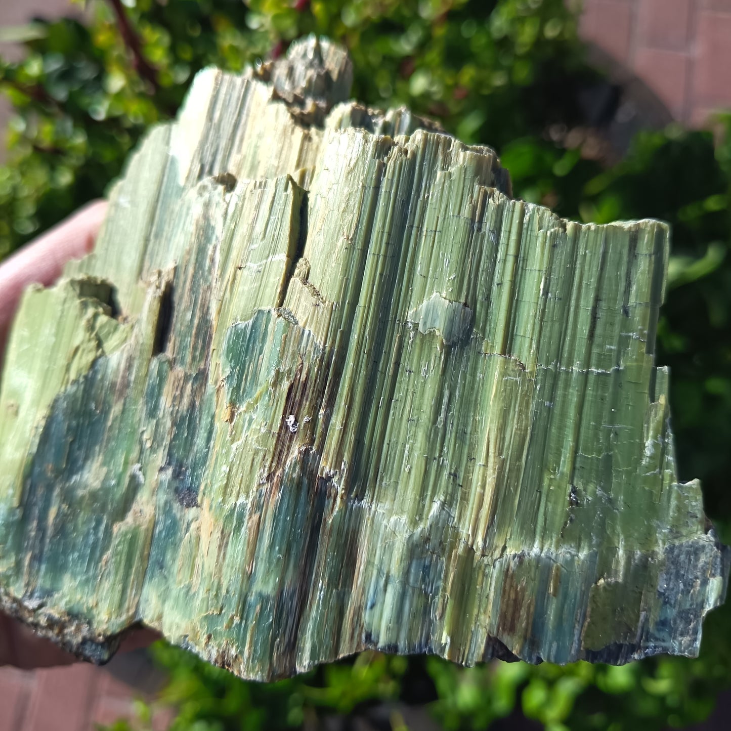 Natural Green Serpentine Specimen From Babertone