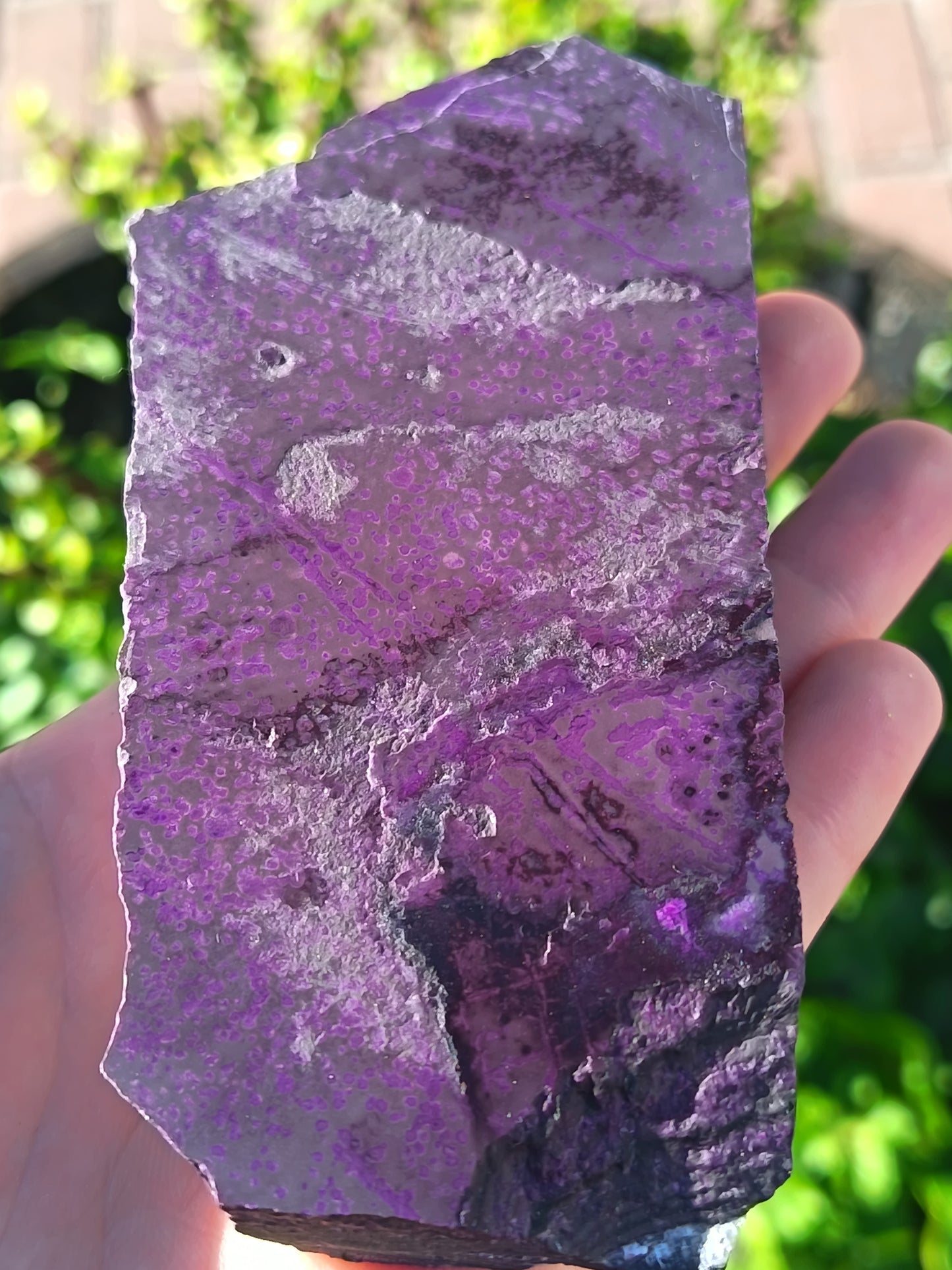 Sugilite