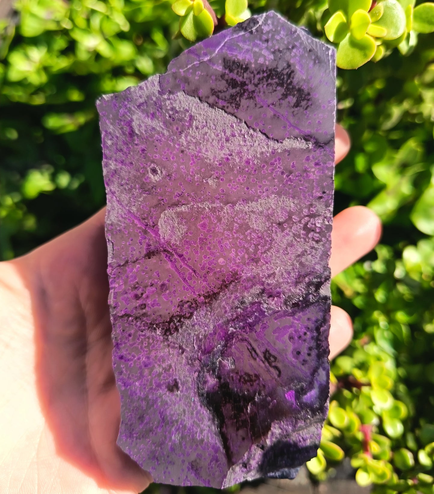 Sugilite