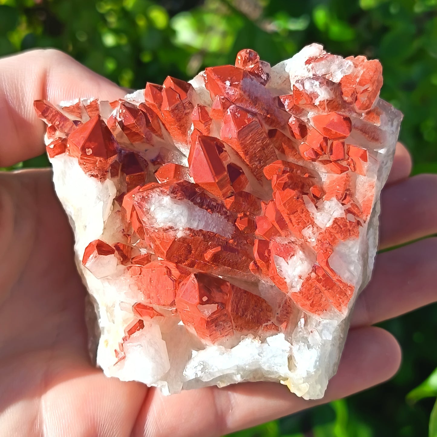 Orange River Quartz Cluster Medium