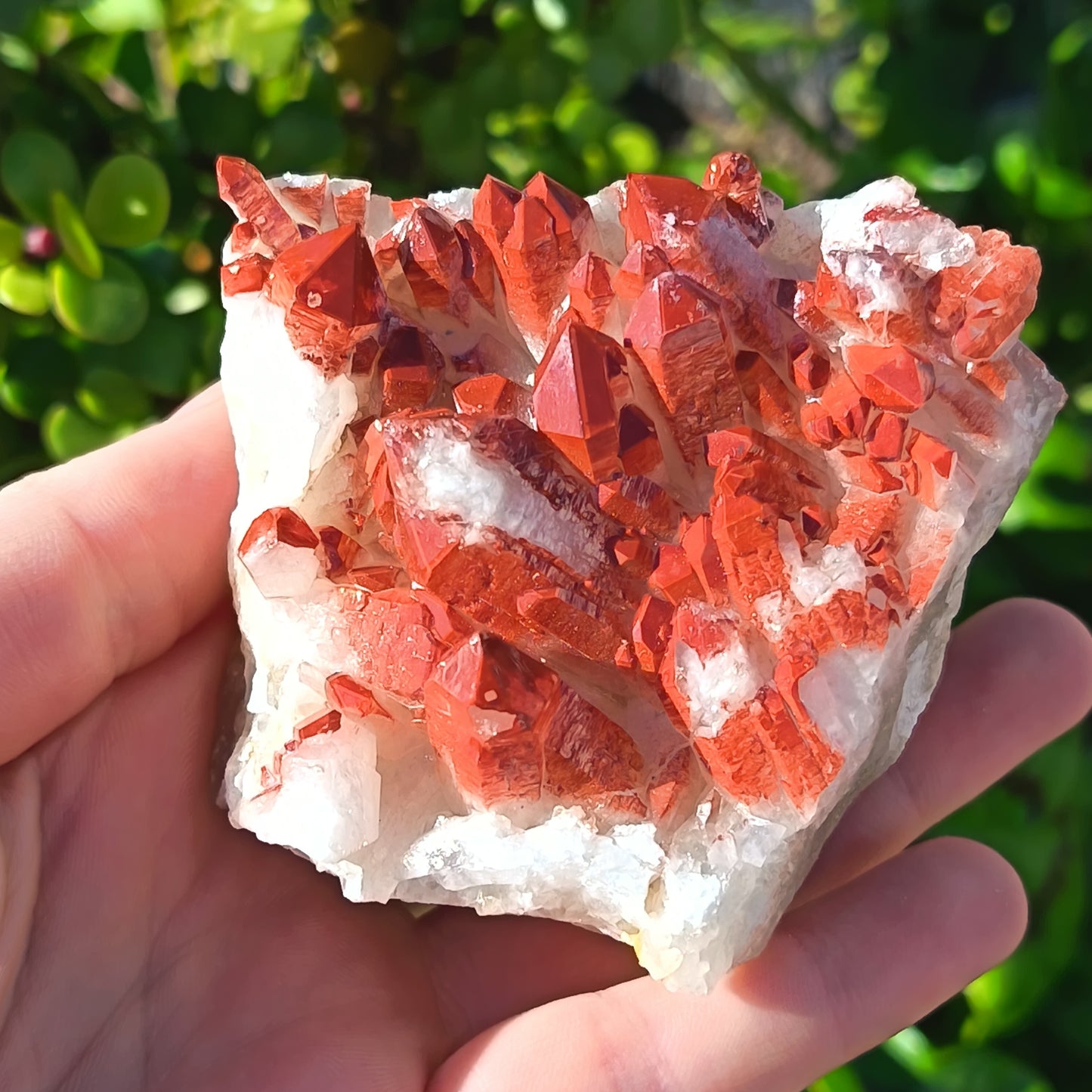 Orange River Quartz Cluster Medium