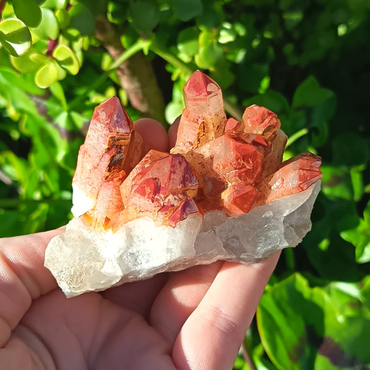 Orange River Quartz Cluster Small
