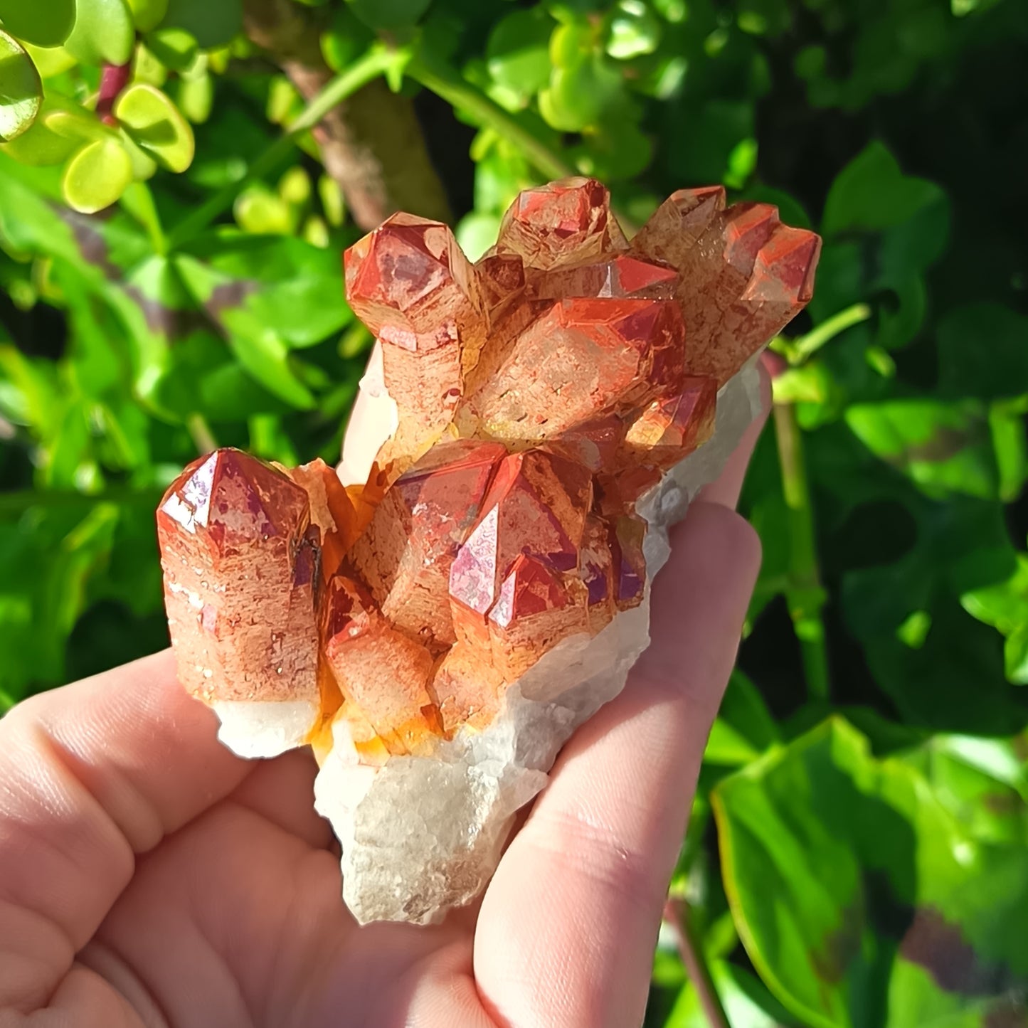Orange River Quartz Cluster Small