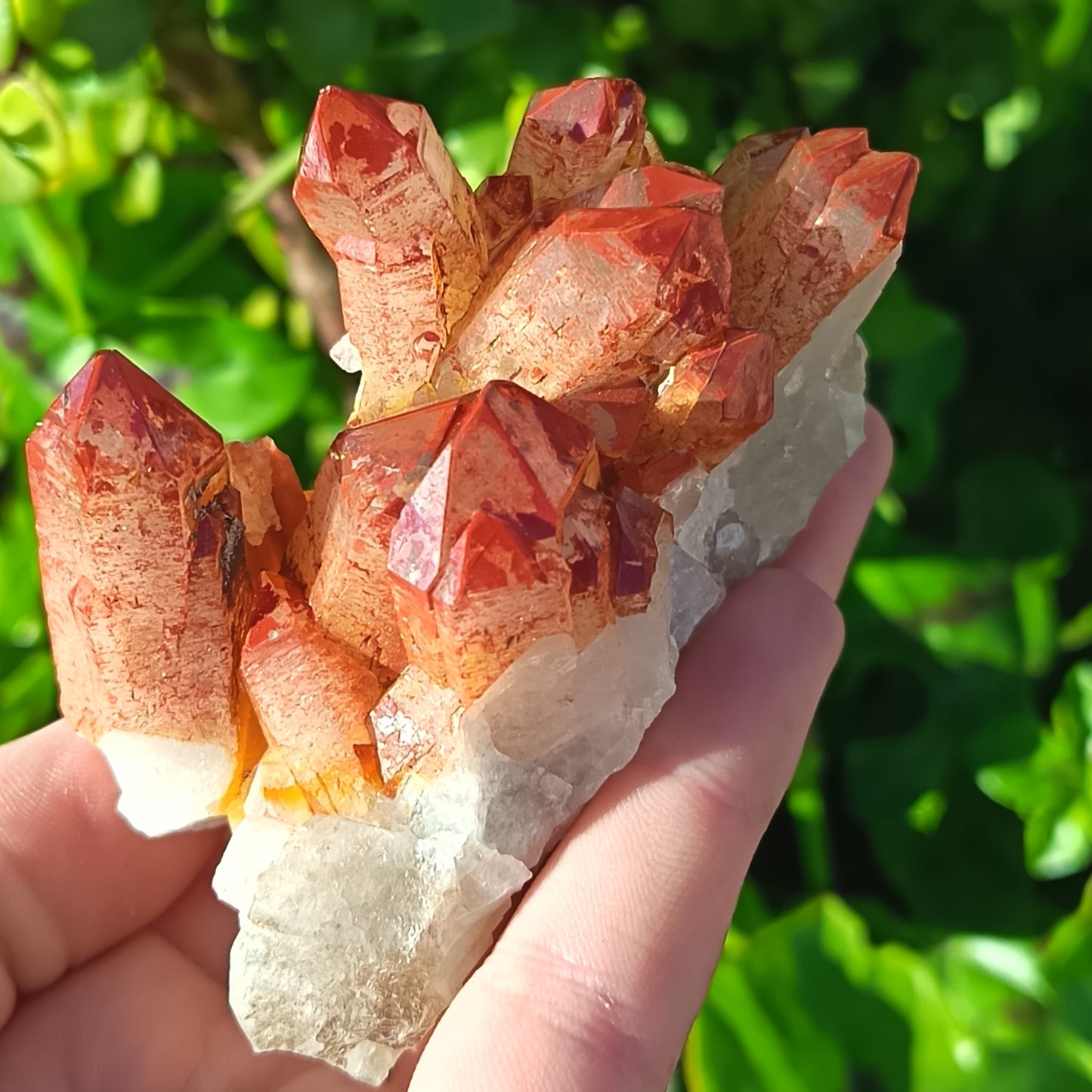 Orange River Quartz Cluster Small