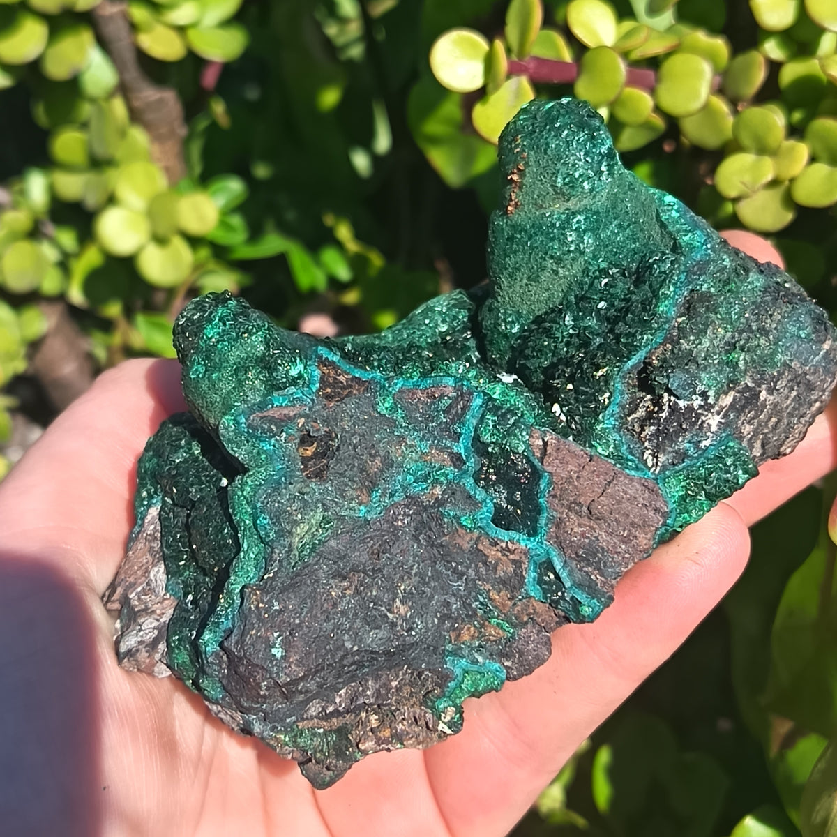 Malachite From The Congo