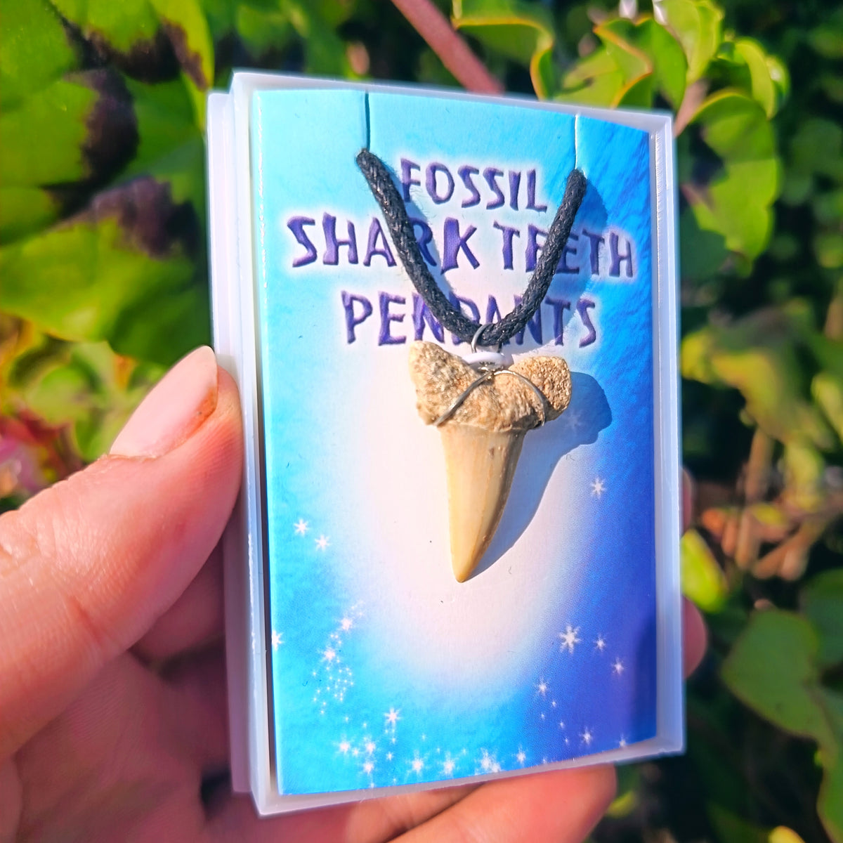 Fossil Shark Teeth Pendants