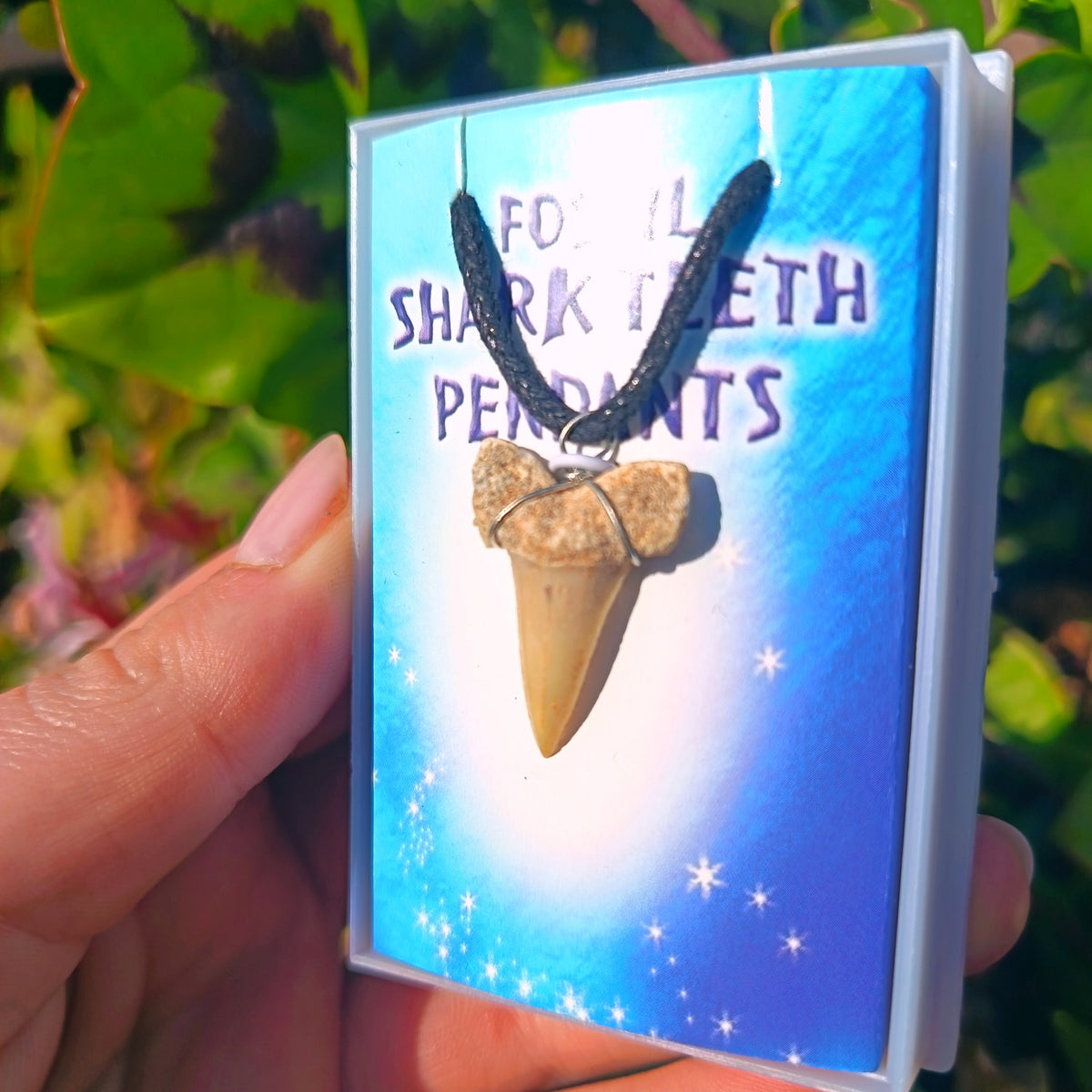 Fossil Shark Teeth Pendants