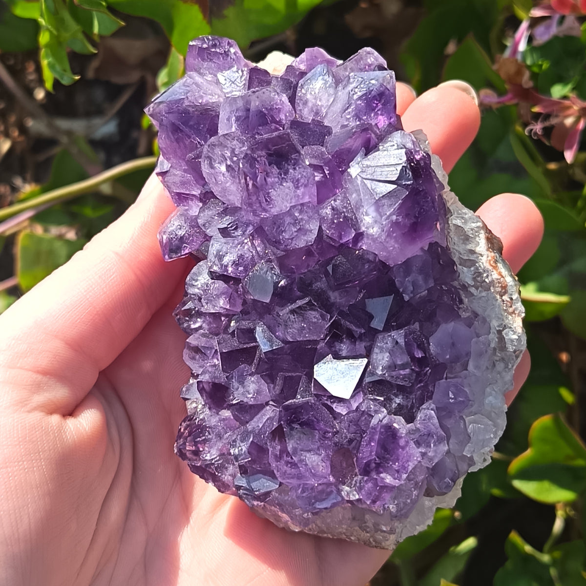 Amethyst Cluster