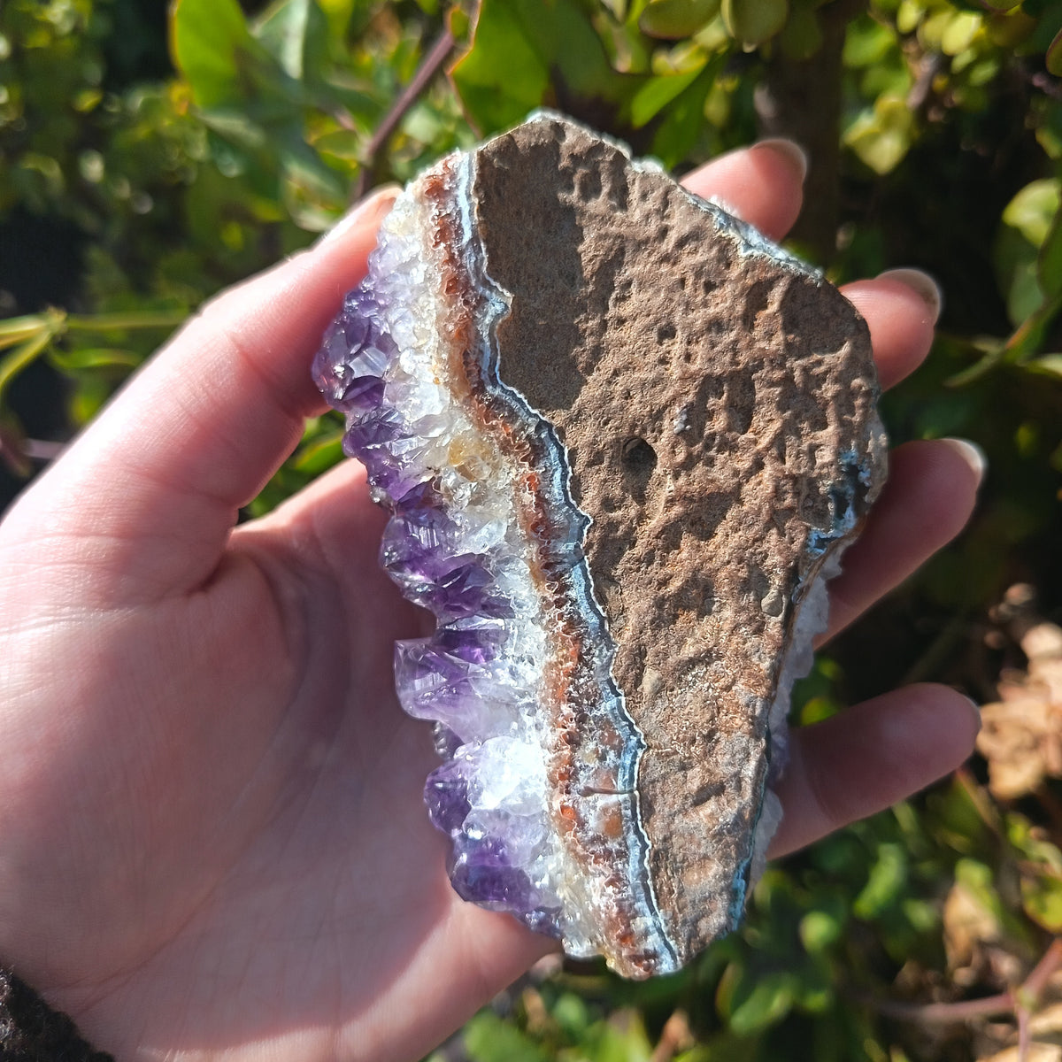 Amethyst Cluster