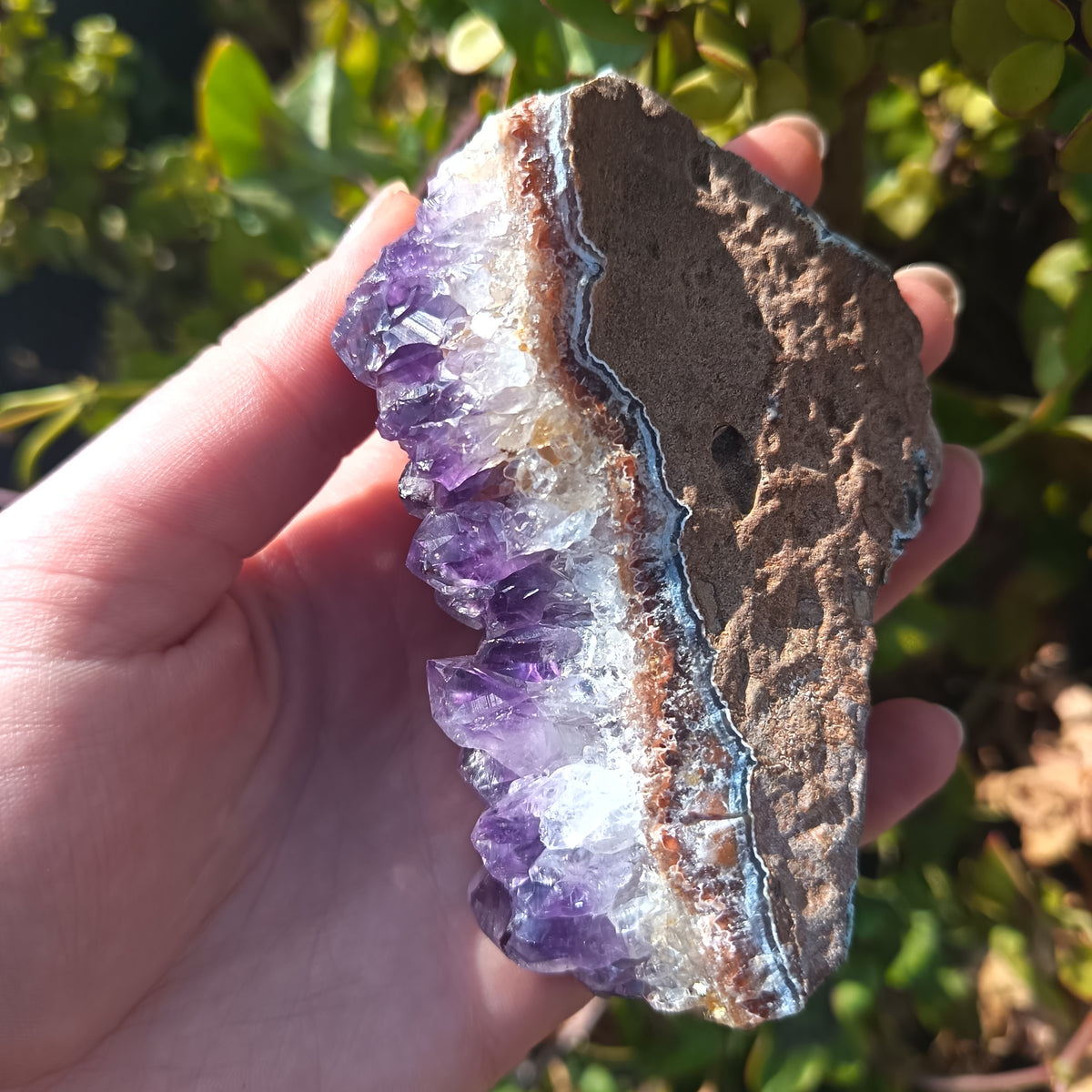 Amethyst Cluster