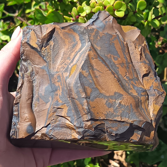 Blue Tigers Eye