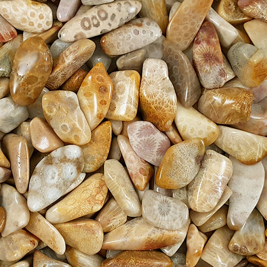 AGATIZE CORAL TUMBLE