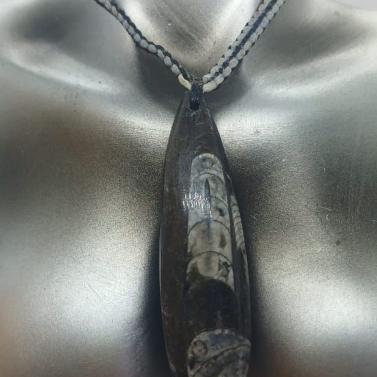 ORTHOCERAS FOSSIL NECKLACE
