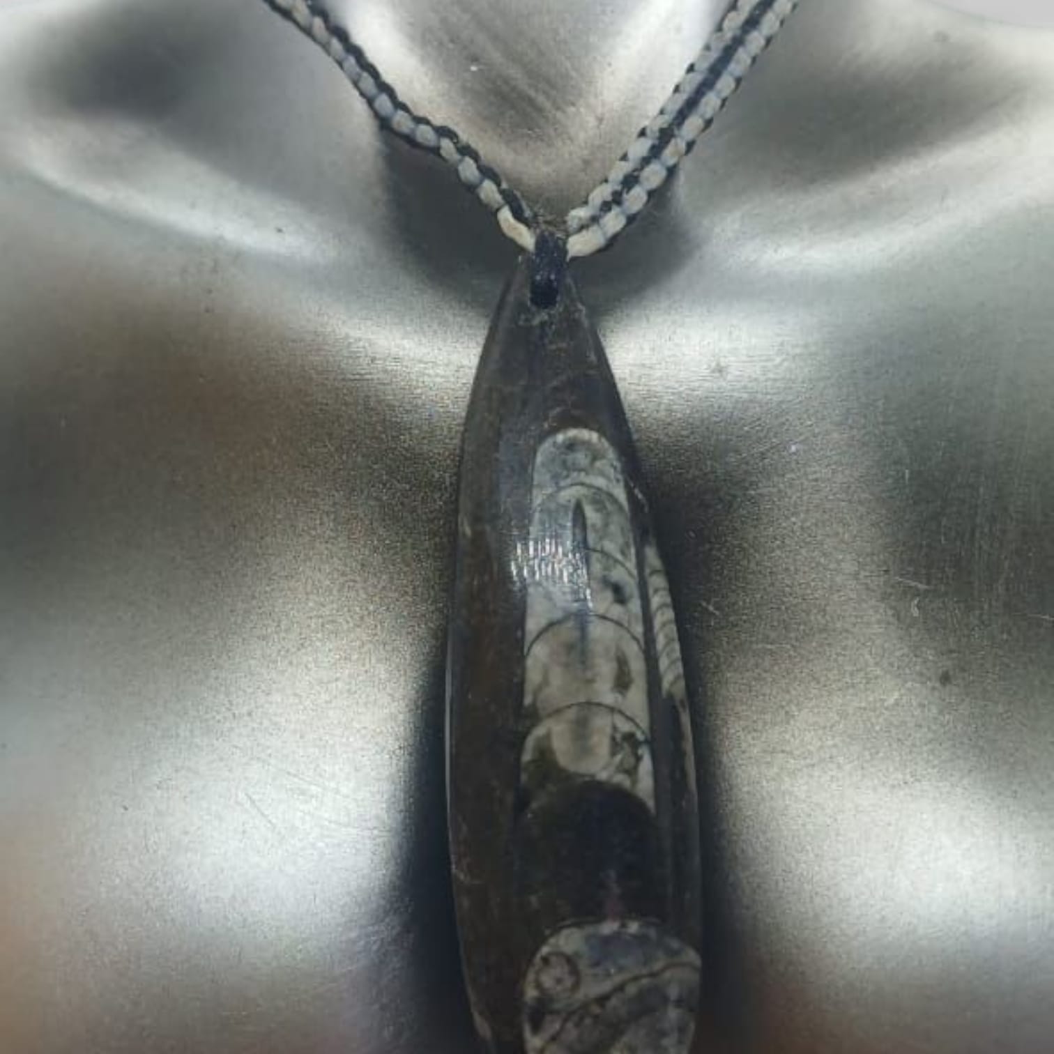 ORTHOCERAS FOSSIL NECKLACE