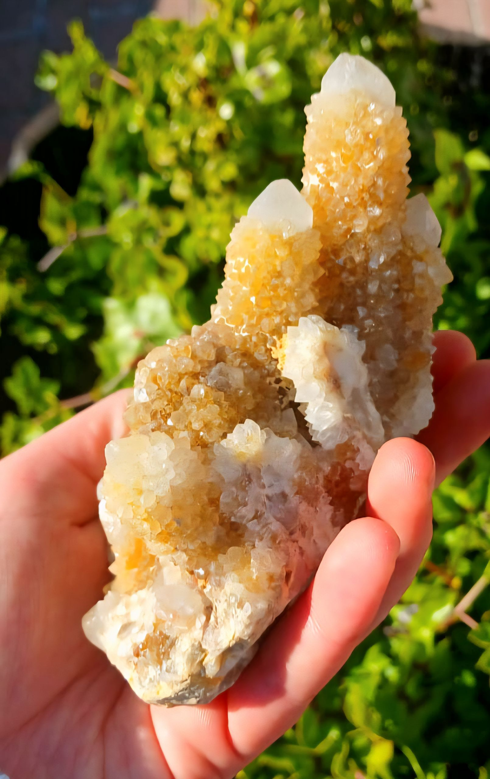 SPIRIT QUARTZ CLUSTER YELLOW LIMONITE 