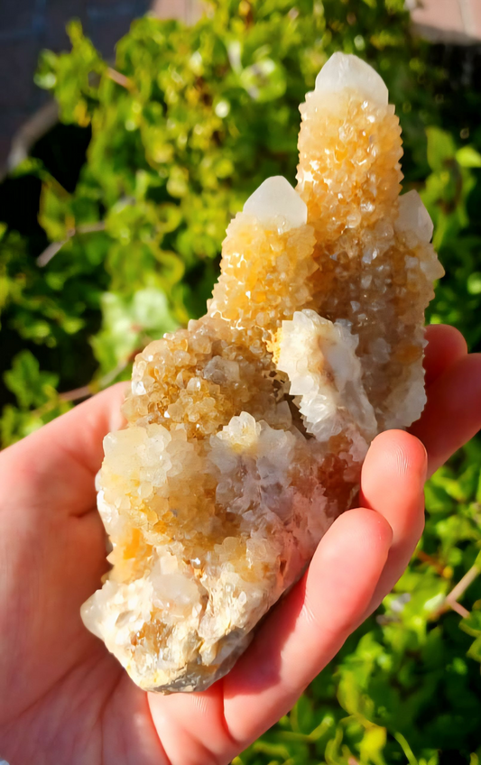 SPIRIT QUARTZ CLUSTER YELLOW LIMONITE 