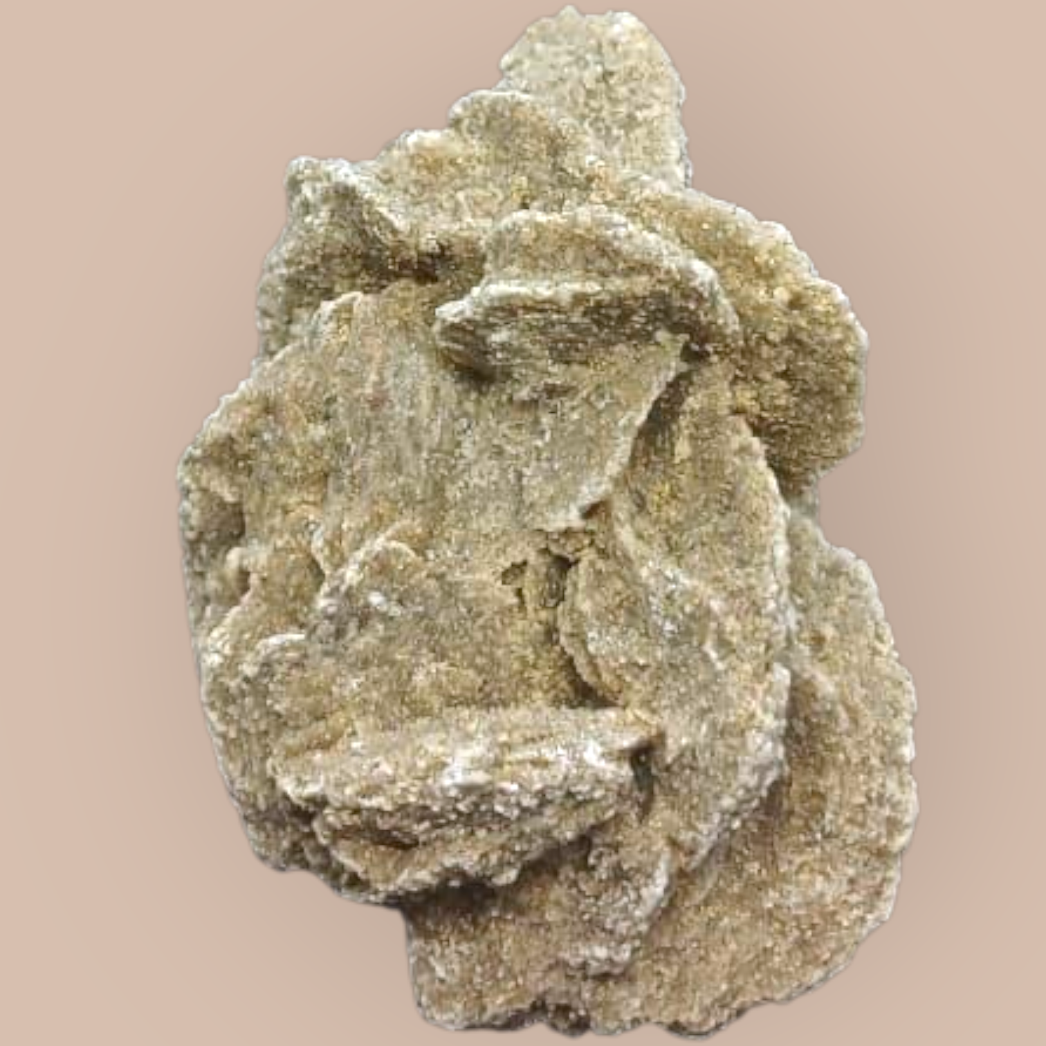DESERT ROSE SPECIMEN 