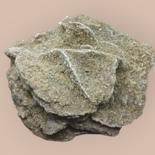 DESERT ROSE SPECIMEN 