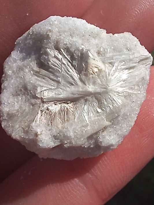 WOLLASTONITE ON DOLOMITE  RAW