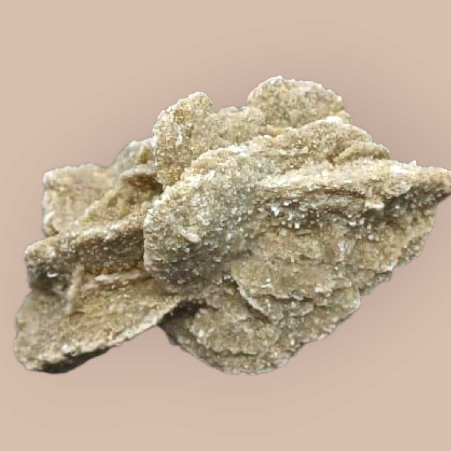 DESERT ROSE SPECIMEN 