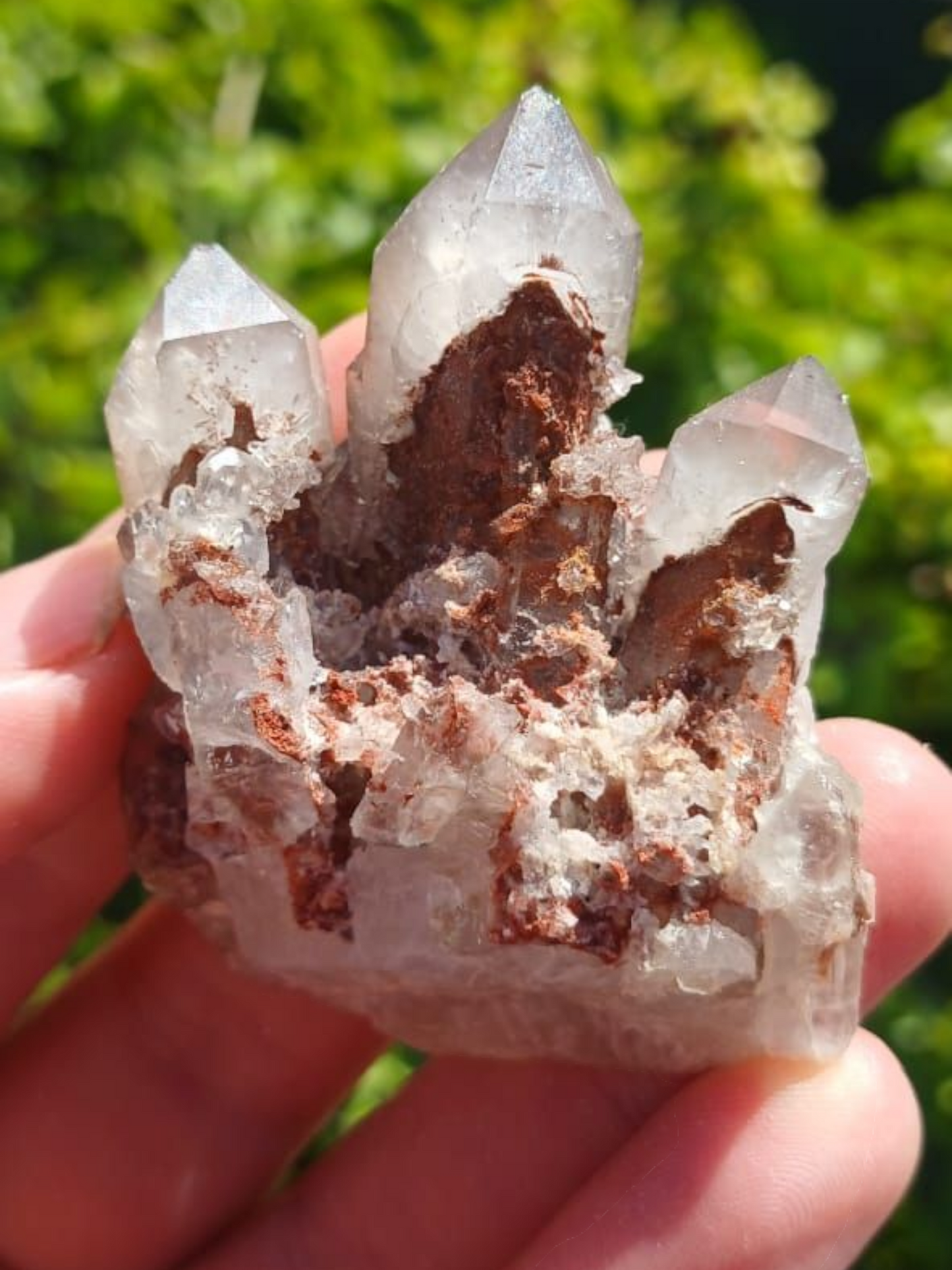 ORANGE RIVER PHANTOM QUARTZ CLUSTER 