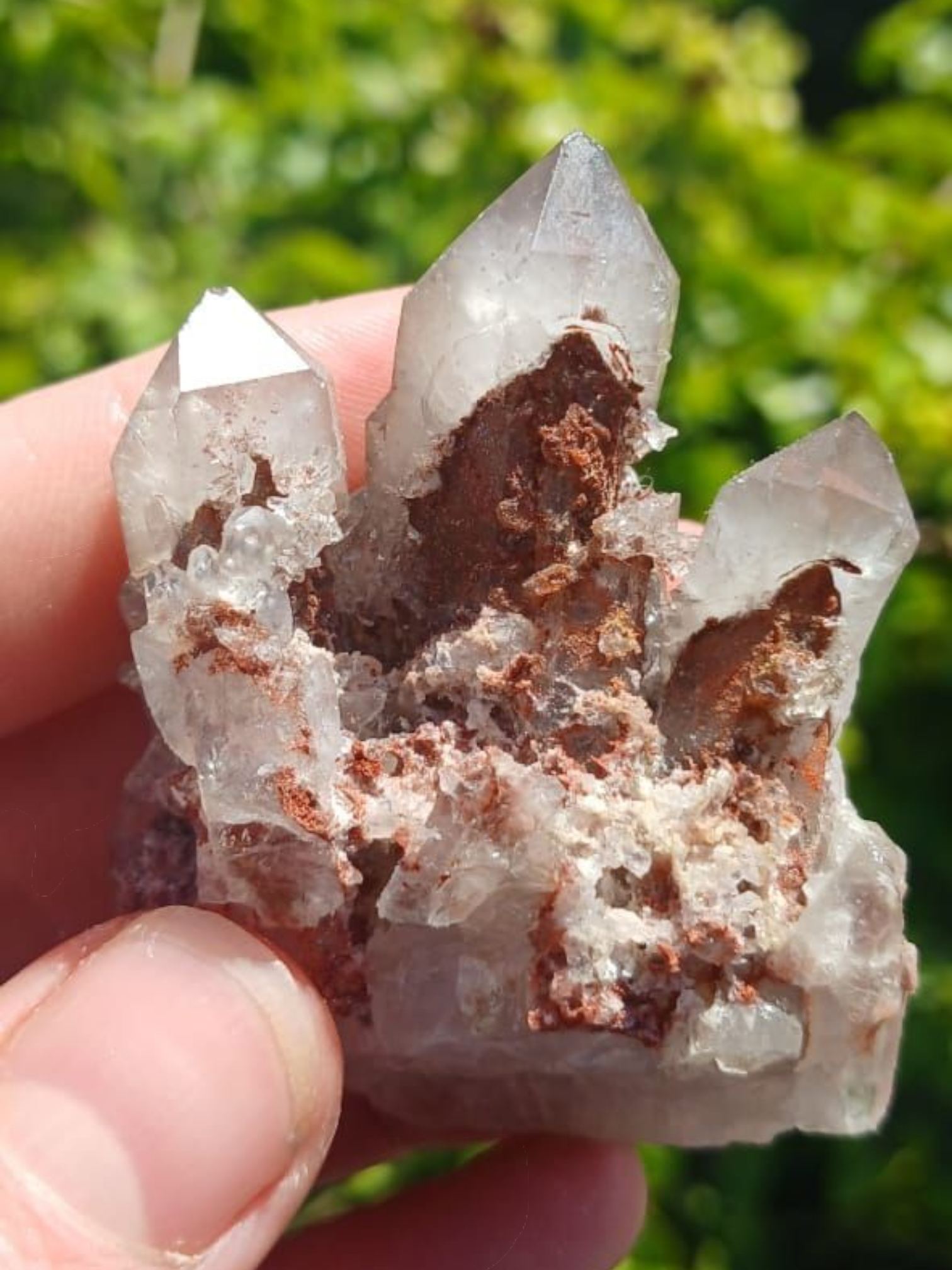 ORANGE RIVER PHANTOM QUARTZ CLUSTER 
