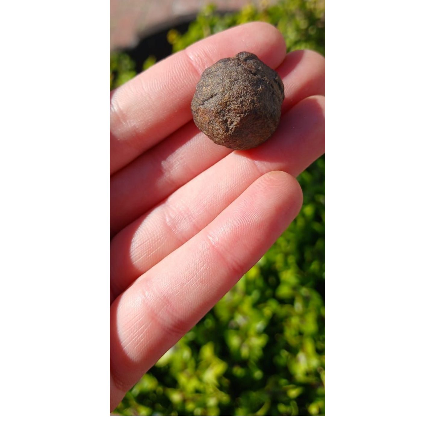 MOCQUI BALL (MARBLE)