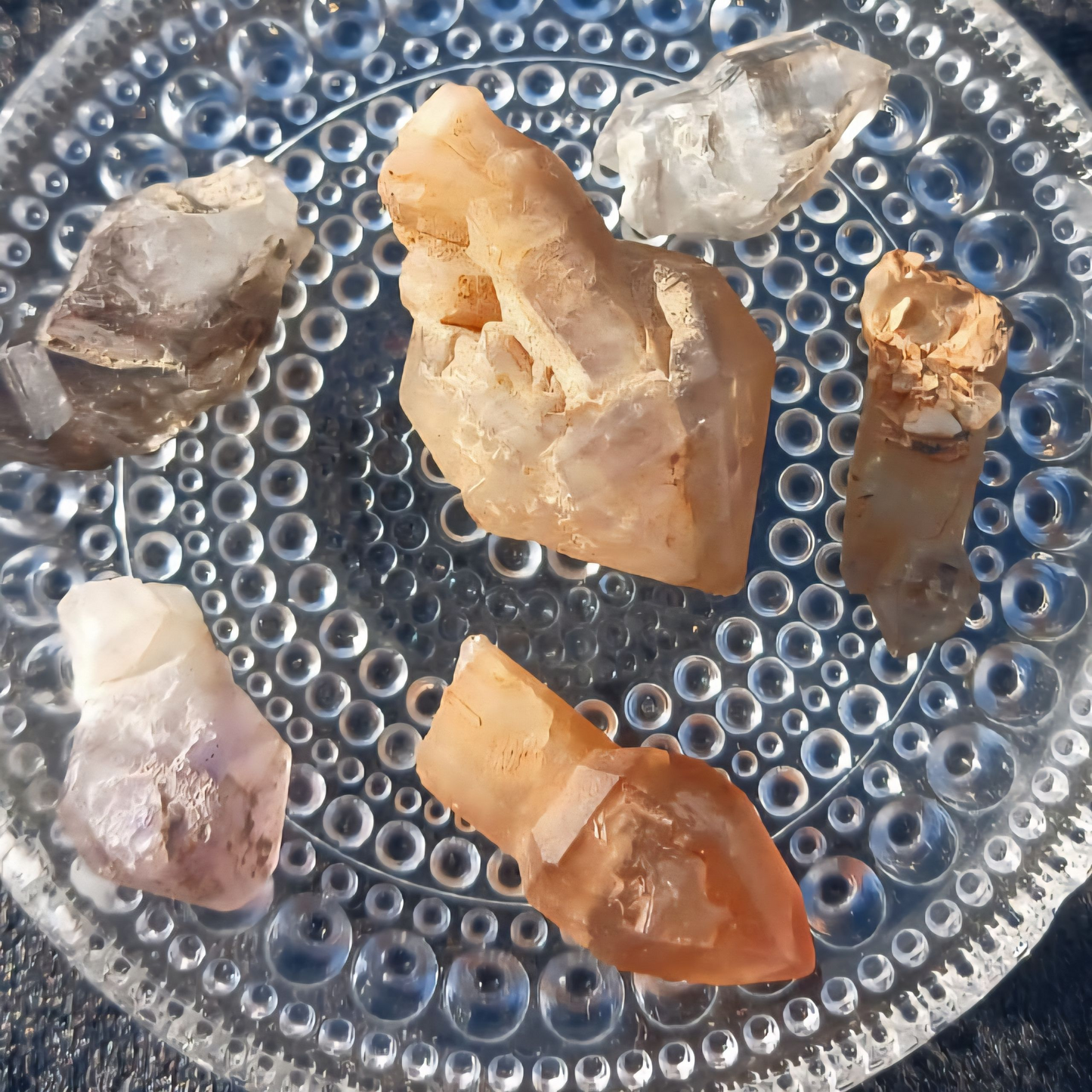 ORANGE RIVER SCEPTRES