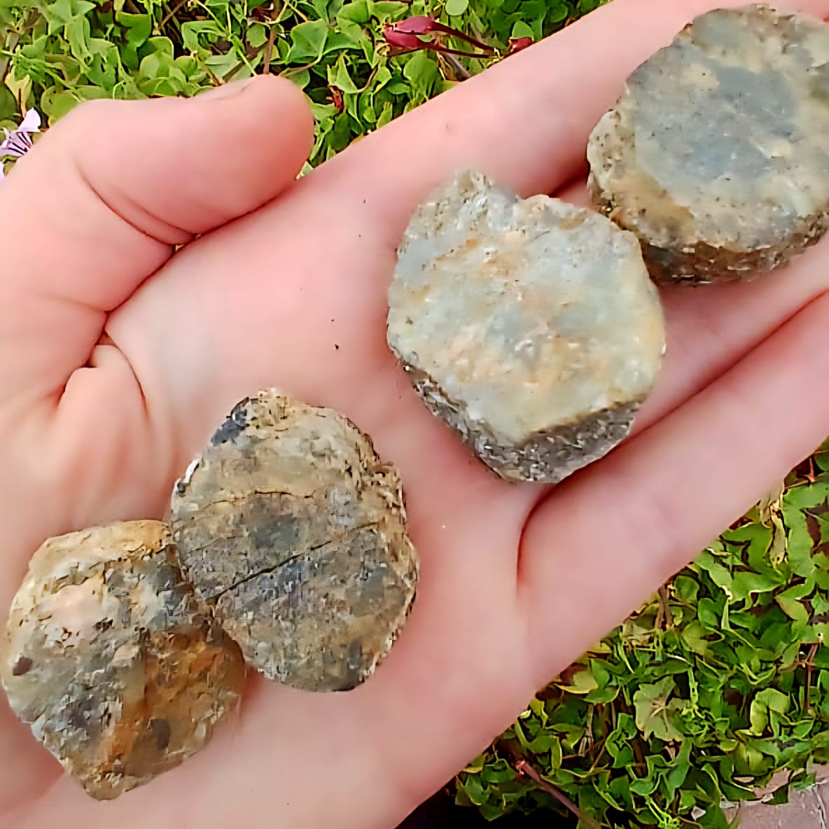 CORUNDUM GREEN AND BROWN