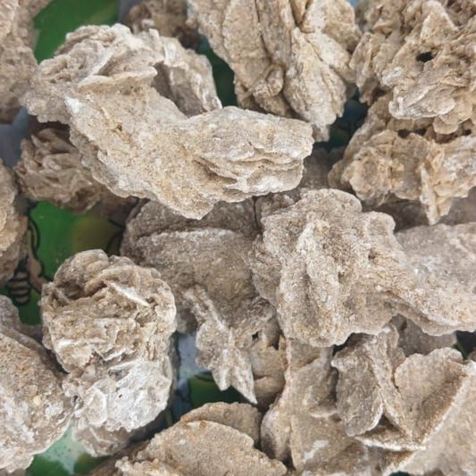 DESERT ROSE