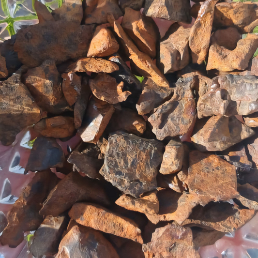 CHONDRITE METEORITE 