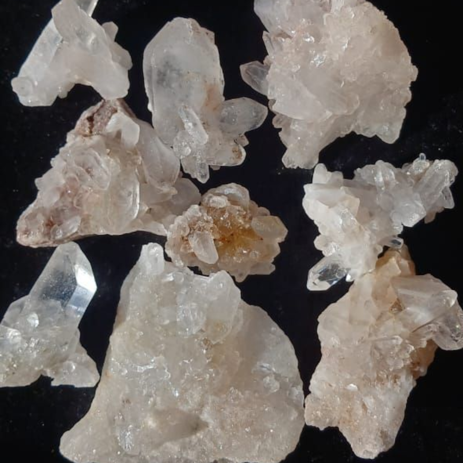 HIMALAYAN CLUSTER 