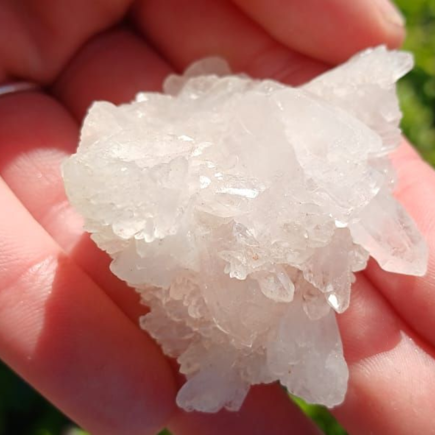 HIMALAYAN CLUSTER 