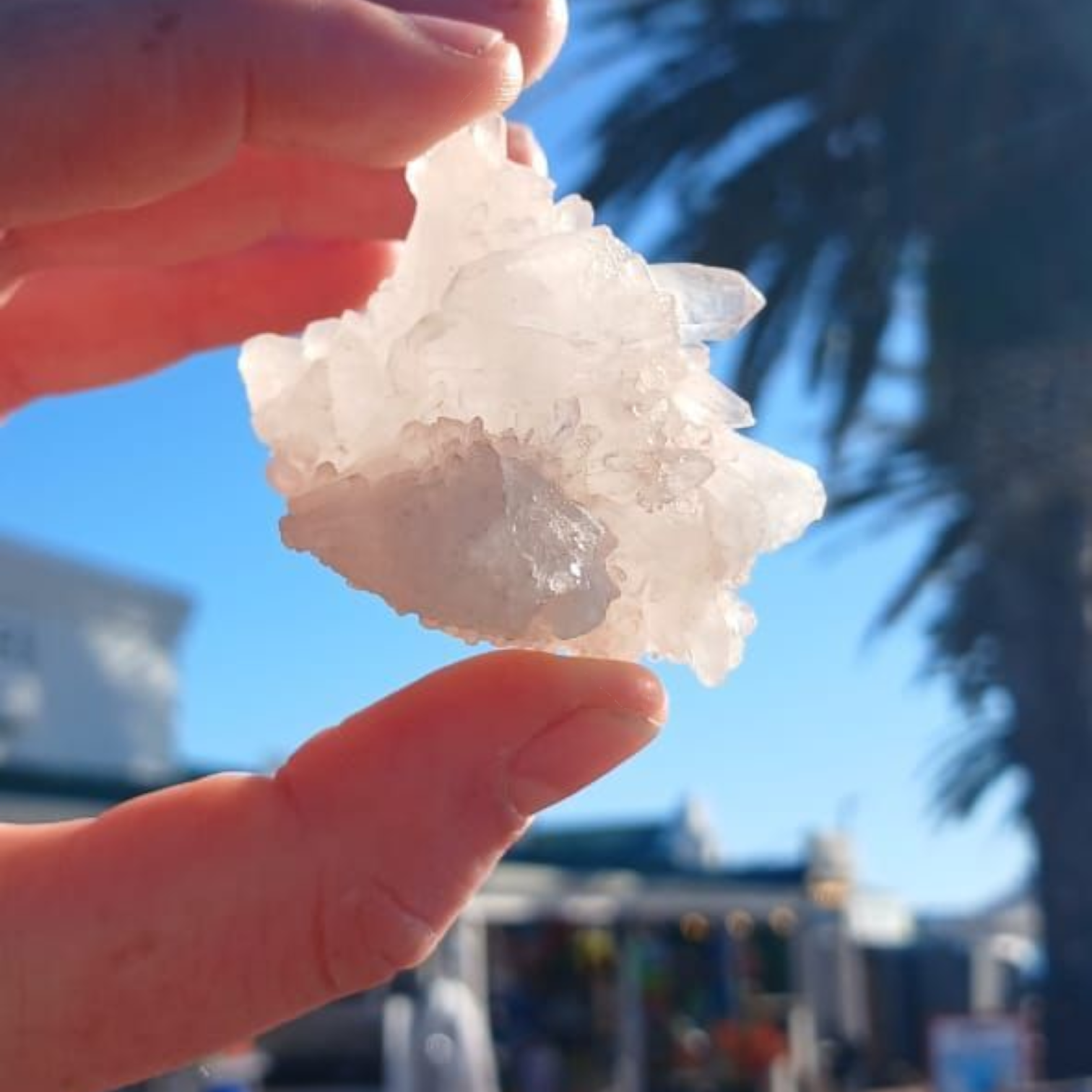 HIMALAYAN CLUSTER 