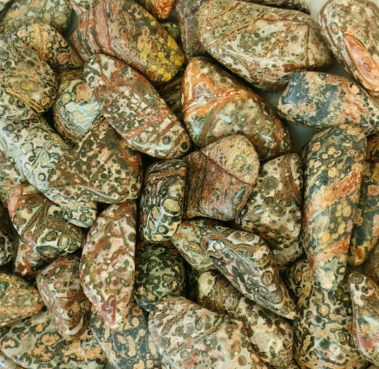 LEOPARD JASPER TUMBLE 
